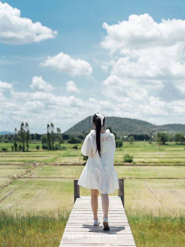 Baannakafe บ้านนากาแฟ🌾