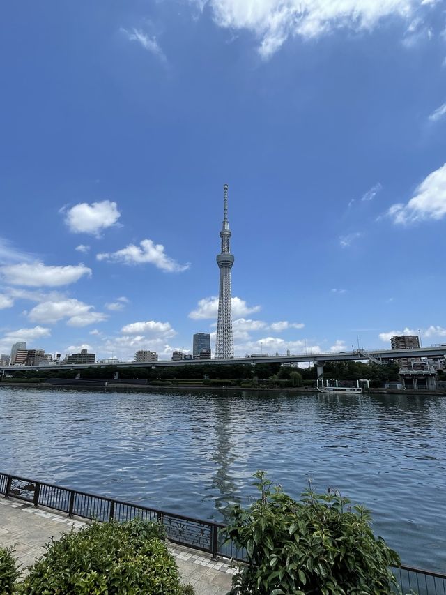 日本東京晴空塔