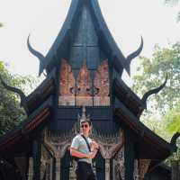 พิพิธภัณฑ์บ้านดำ (Baan Dam Museum)