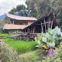 📍นอนบ้านไม้ไผ่ยักษ์กลางทุ่งนาที่ Giant Bamboo Hut