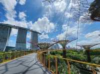 OCBC Skyway