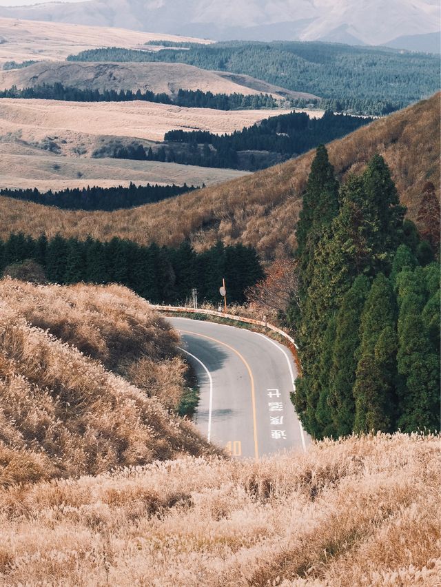 日本九州｜大觀峰 秋季必到訪的壯麗自然景觀⛰️