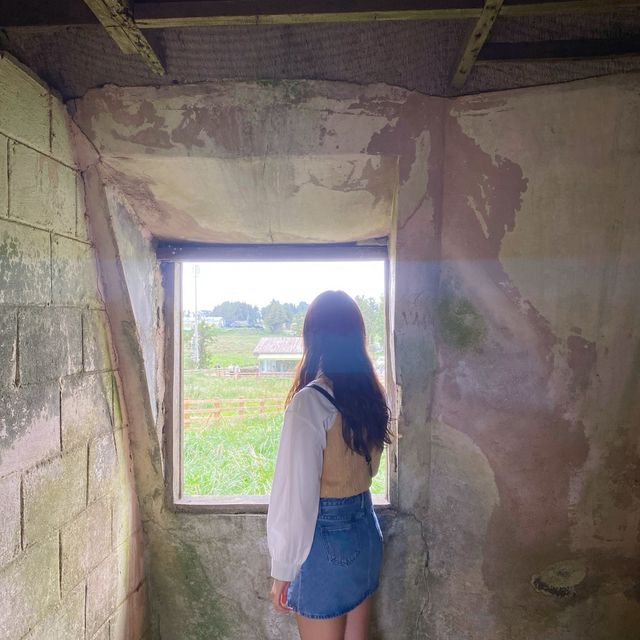 셀프스냅 찍기 좋은 성이시돌목장🐄