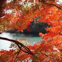 Goshikinuma ponds , autumn vibe 🍁