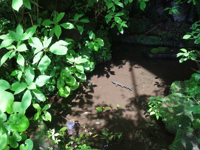 【箱根リトリートfore】