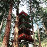 Discover amazing Nikko Toshogu Shrine