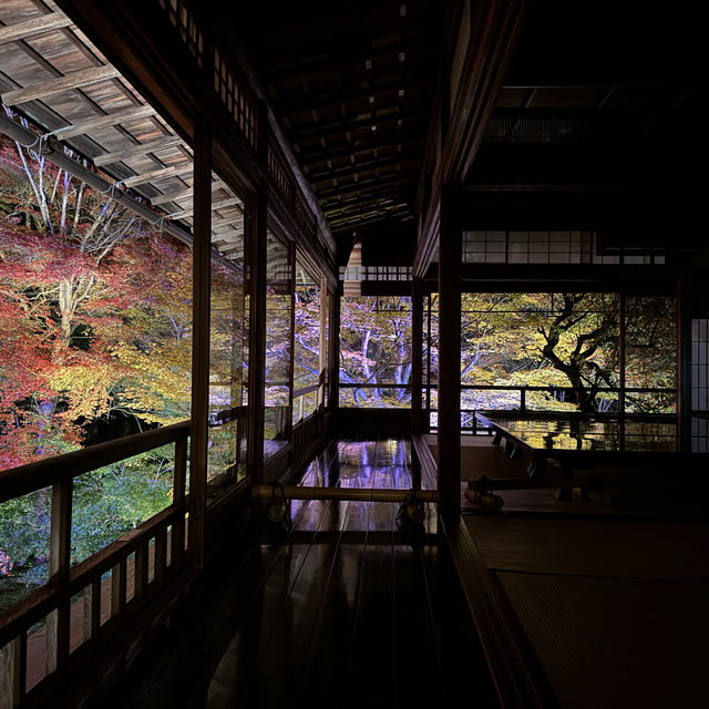 【京都】絶景！瑠璃光院の紅葉