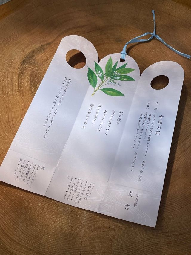 【東京都/東京大神宮】2023年行ってよかった！東京都の神社③