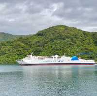 Picton Bliss: Ferry Memories Revived