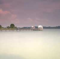 Calm Waters at Lower Seletar Reservoir Park