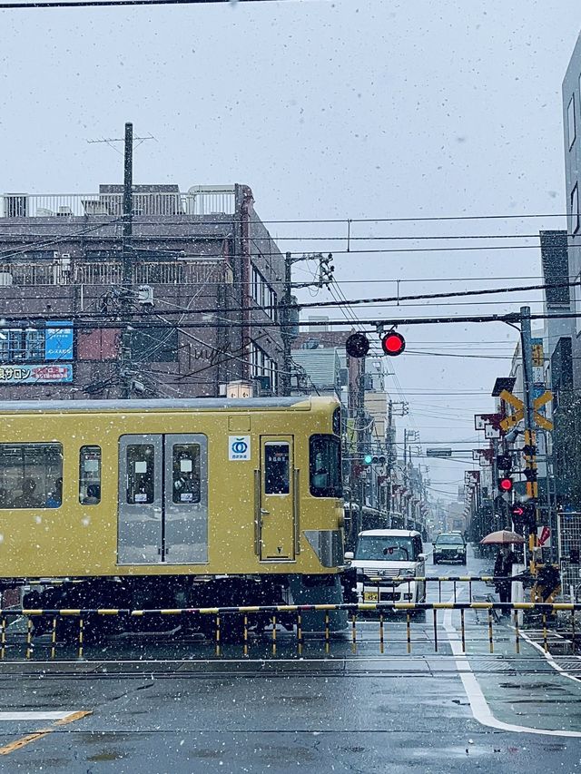 Winter in Tokyo ❄️❄️❄️