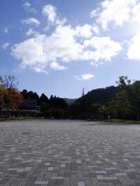 日本賞楓，藍天襯楓紅令人著迷