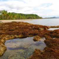 Nacpan Beach