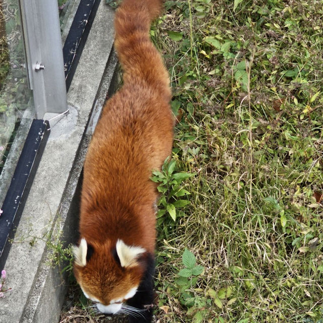 Tobe Zoological Park