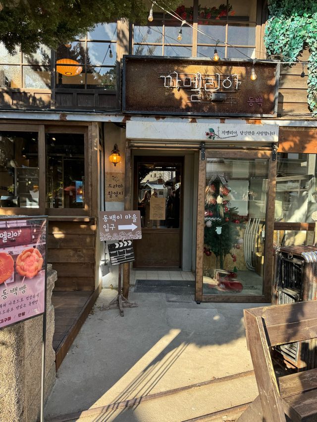 골드 키위 빙수가 맛있었던 동남아분위기의 포항 카페