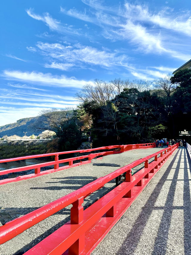 📍あじさい橋/箱根・神奈川県