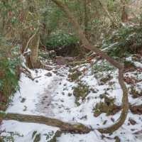 ๊ฒจ์ธ์ ์ด๋ก์ด๋ก ์ฒ, ํ์์ฒ