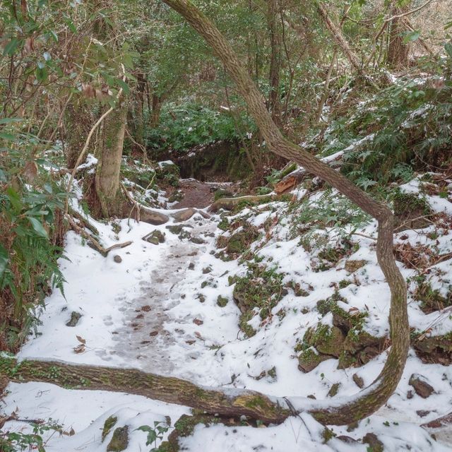 ๊ฒจ์ธ์ ์ด๋ก์ด๋ก ์ฒ, ํ์์ฒ ๊ฒจ์ธ์ ์ด๋ก์ด๋ก ์ฒ, ํ์์ฒ