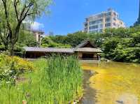 Hinokicho Park