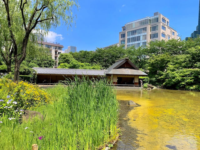 Hinokicho Park