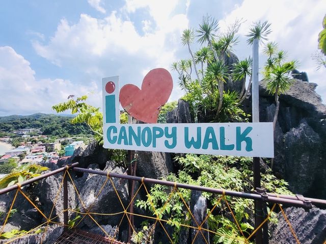 Canopy Walk 