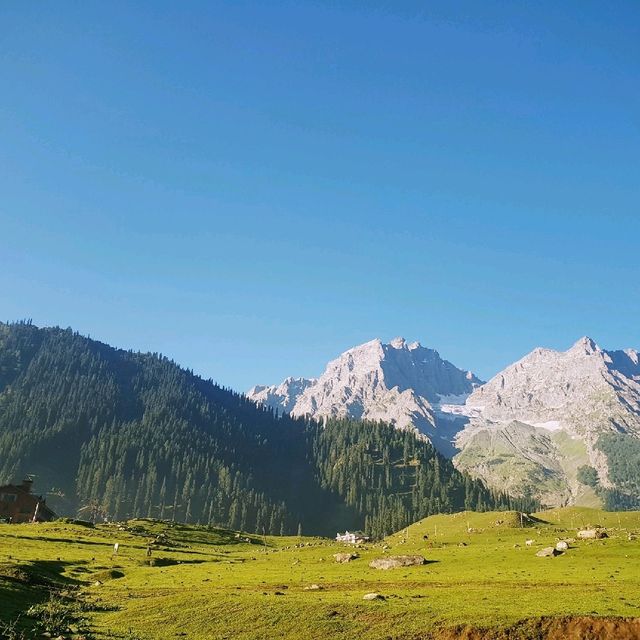 Sonamarg - "Switzerland" in India