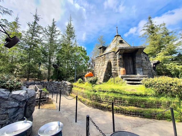 The Wizarding World of Harry Potter