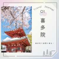 🌸桜の川越を巡る旅🌸