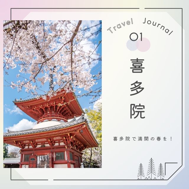 🌸桜の川越を巡る旅🌸
