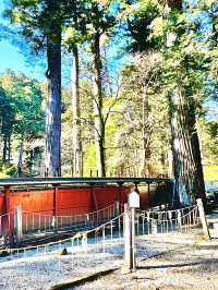 【日光二荒山神社・神苑/栃木県】縁結びスポット満載