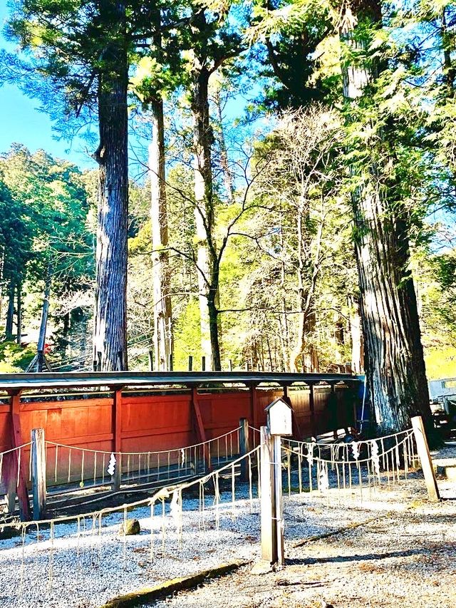 【日光二荒山神社・神苑/栃木県】縁結びスポット満載