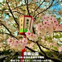 豊橋公園