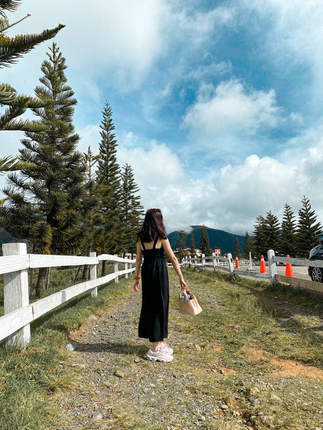 The Little New Zealand in Sabah 🇲🇾