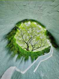 Fort Canning Tree Tunnel