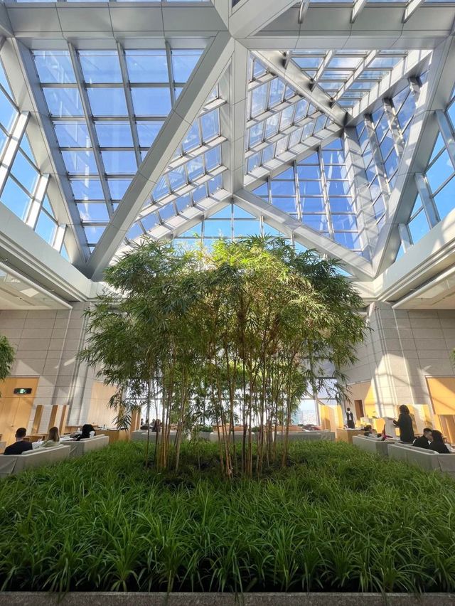 【東京/新宿】空に溶け込む開放的な空間で楽しむアフタヌーンティー🕊🍃