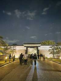 【大阪府】夜桜が美しい大阪城西の丸庭園