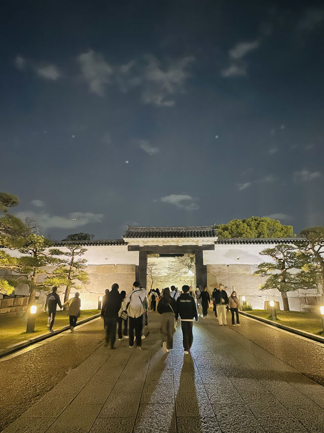 【大阪府】夜桜が美しい大阪城西の丸庭園