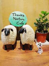 Thanks Nature Cafe