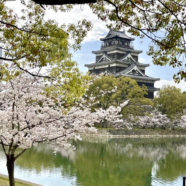 🏰 Exploring Hiroshima Castle 🌸