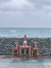 반려견과 가기 좋은 제주 애견동반 소품샵, 춘식이와옥희❤️