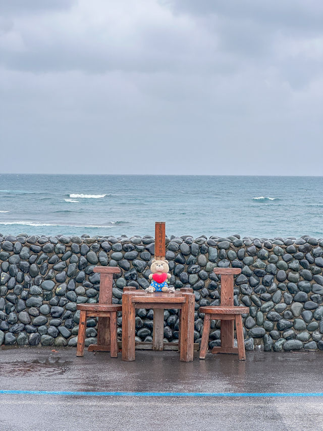 반려견과 가기 좋은 제주 애견동반 소품샵, 춘식이와옥희❤️