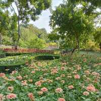 武吉巴督自然公園～城市綠洲