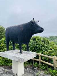 【宮古島】絶景のイムギャーマリンガーデン展望台！