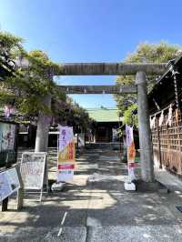 【國領神社/東京都】千年乃藤と飛び出す御朱印