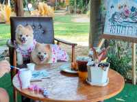 คาเฟ่ริมน้ำในรีสอร์ท The Antique Riverside 