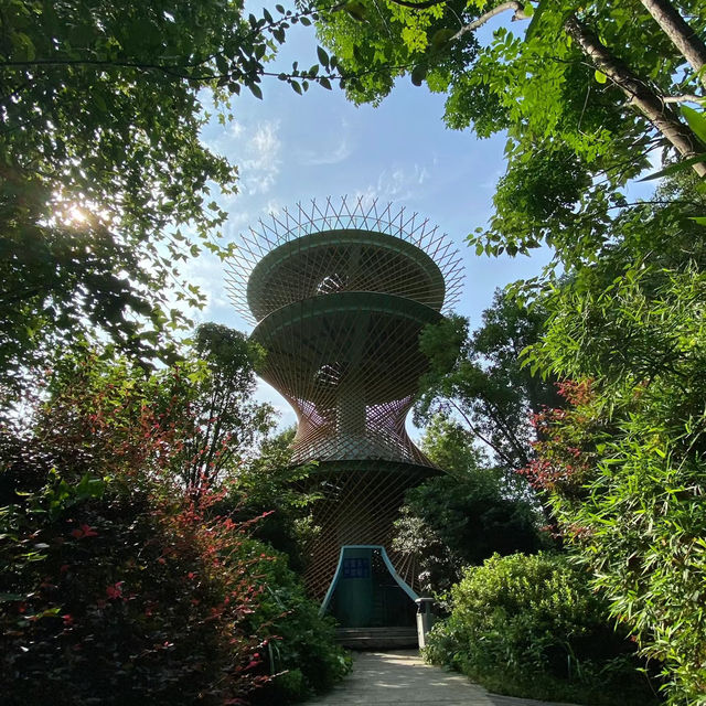 珠海二井灣濕地公園～感受大自然的恬靜優雅