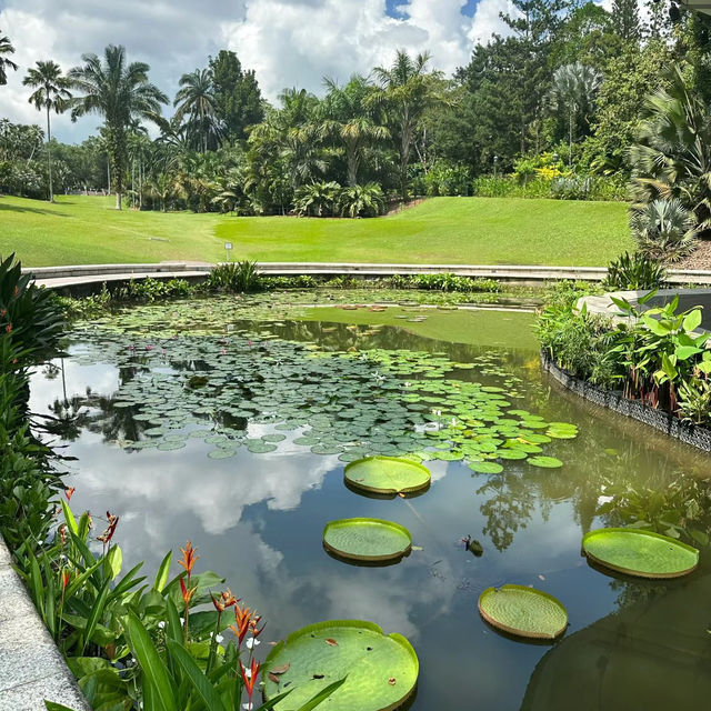 【大阪景點】HOS花園：世界珍奇植物，園藝治療，放鬆靜心時光