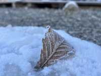 Why you should visit Nikko, Japan (Jan 2024)