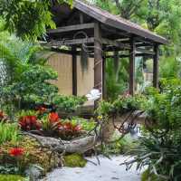 上海辰山植物園：綠色殿堂，世外桃源