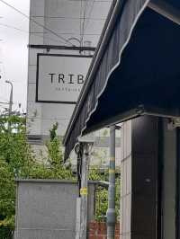 대구 분위기 좋은 봉산동 맛집 "트라이브 레스토랑"